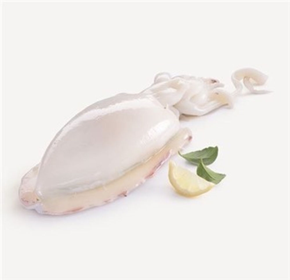 SEPPIA INDOPACIFICA DECONGELATA